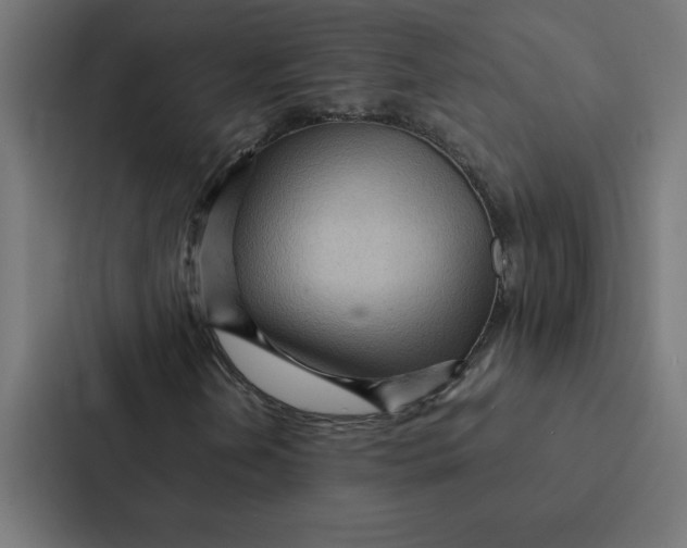 X0000087311202200705112110