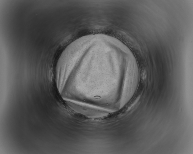 X0000087311204200705112110