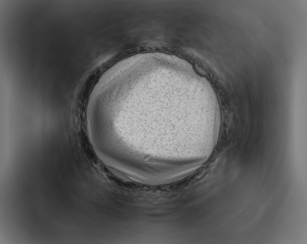 X0000087311207200705112110