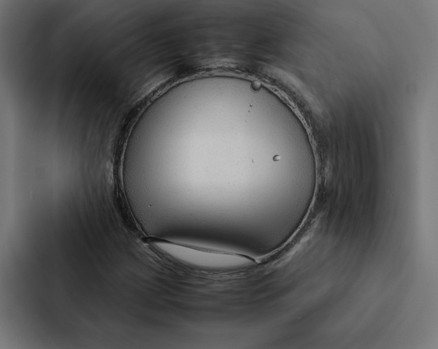 X0000087311209200705112110