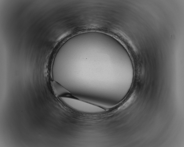 X0000087311210200705112110