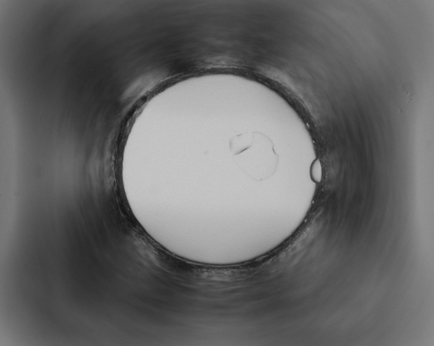 X0000087311211200705112110