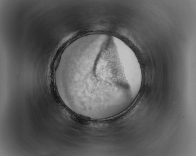 X0000087311213200705112110