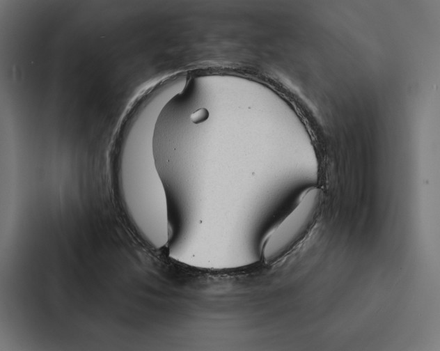 X0000087311214200705112110