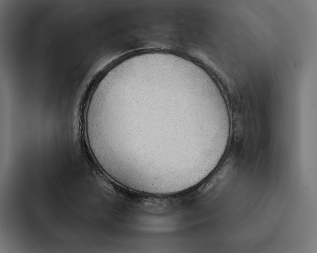 X0000087311215200705112110