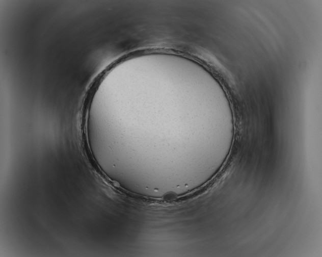 X0000087311216200705112110