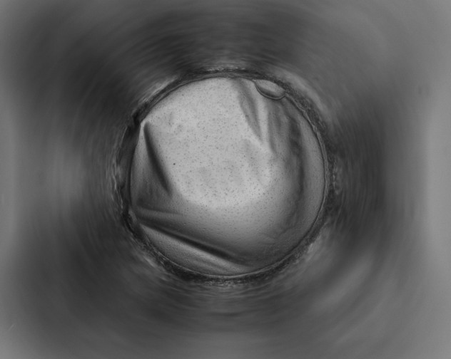 X0000087311217200705112110