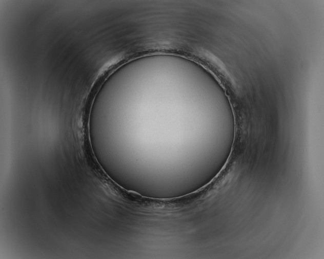 X0000087311218200705112110