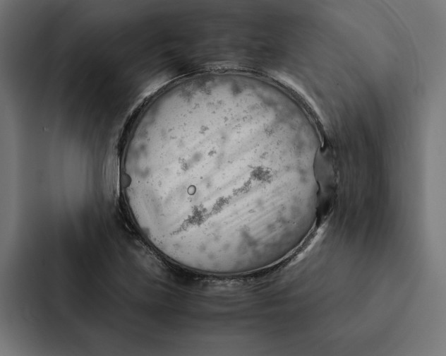 X0000087311219200705112110