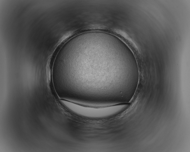 X0000087311221200705112110