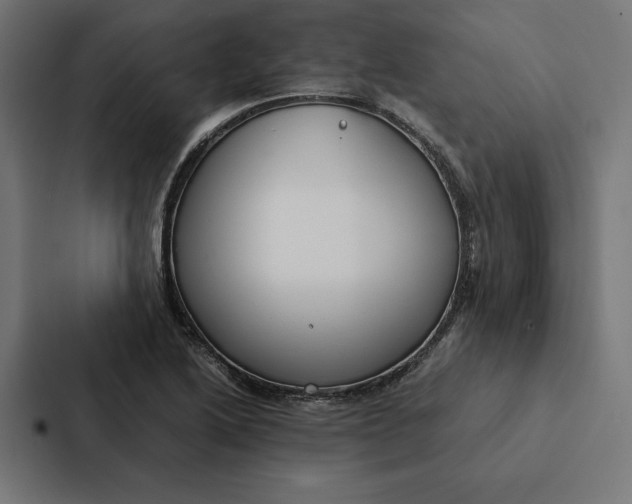 X0000087311222200705112110