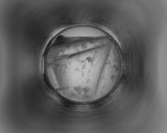 X0000087311223200705112110