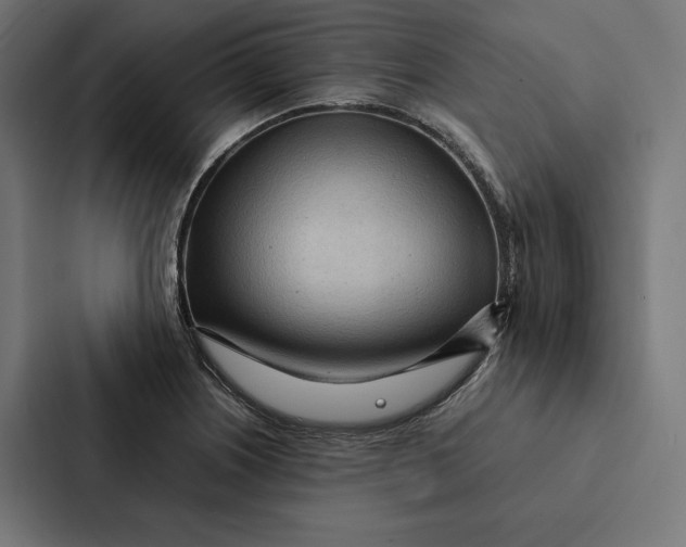 X0000087311226200705112110