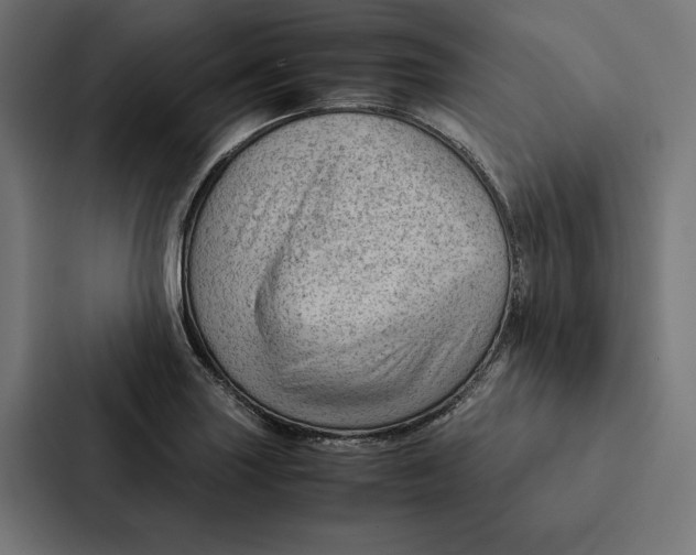 X0000087311227200705112110