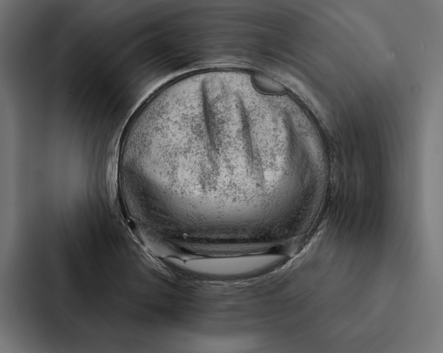 X0000087311228200705112110