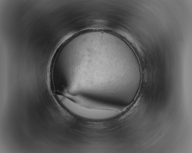 X0000087311229200705112110