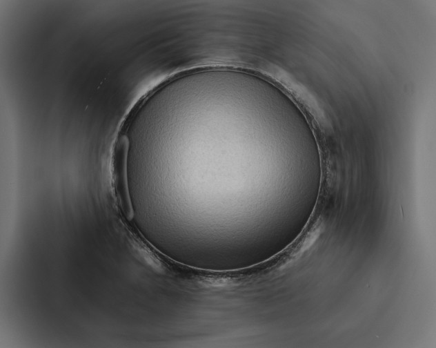 X0000087311230200705112110