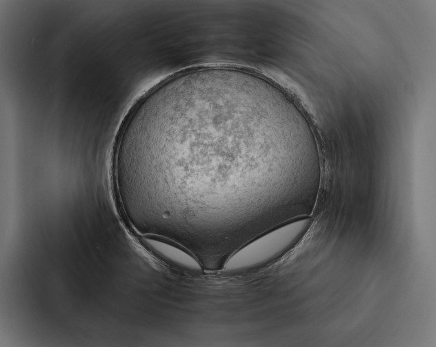 X0000087311231200705112110