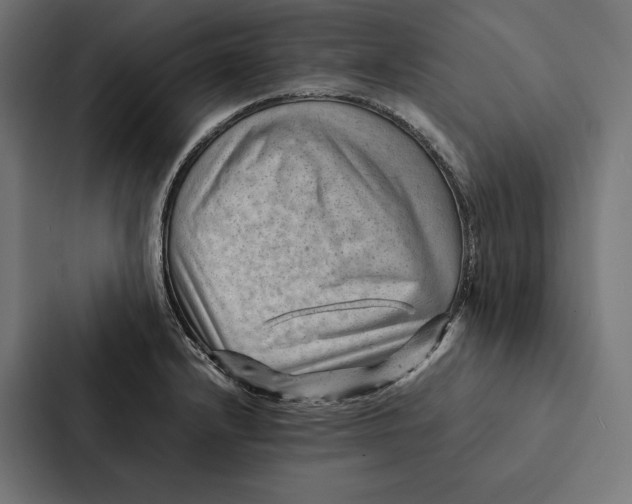 X0000087311232200705112110