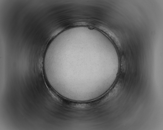 X0000087311233200705112110