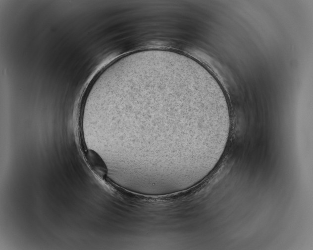 X0000087311235200705112110