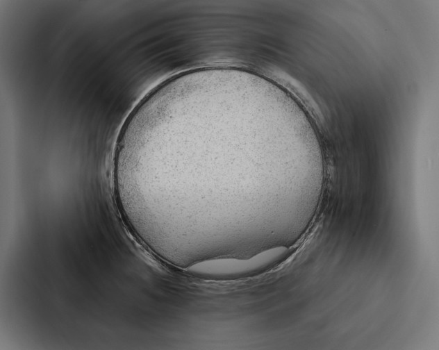 X0000087311236200705112110