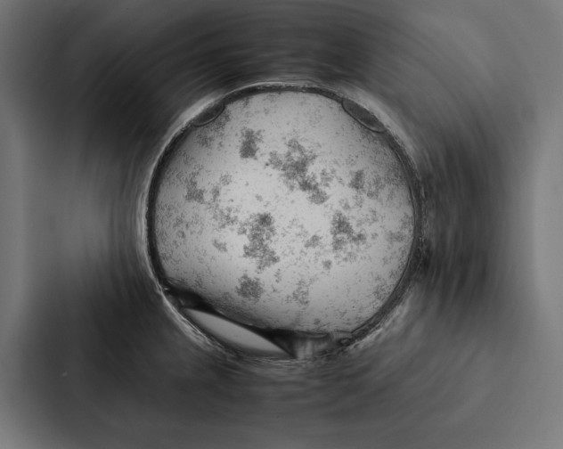 X0000087311237200705112110