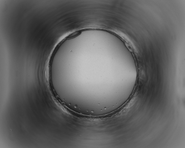 X0000087311238200705112110