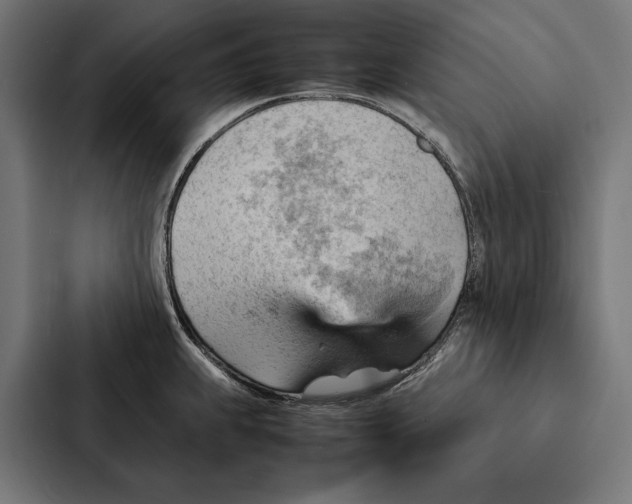 X0000087311239200705112110