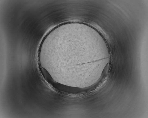 X0000087311240200705112110