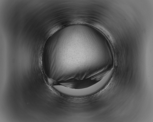 X0000087311241200705112110