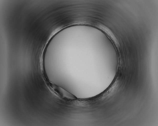 X0000087311242200705112110