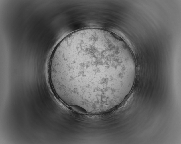 X0000087311243200705112110