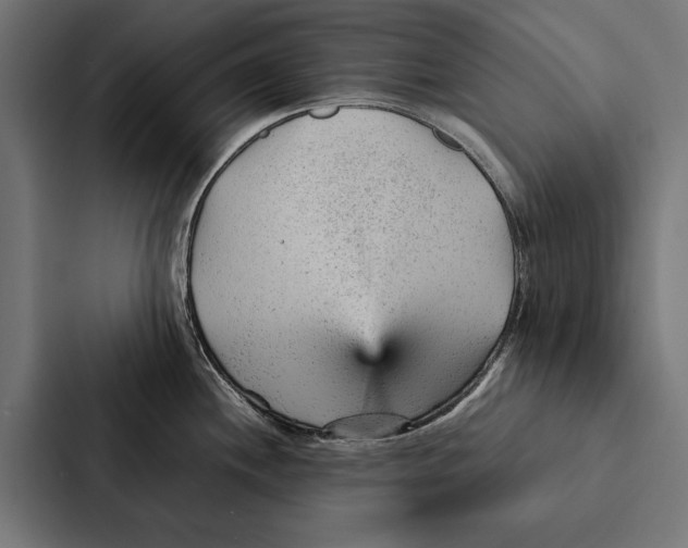 X0000087311244200705112110