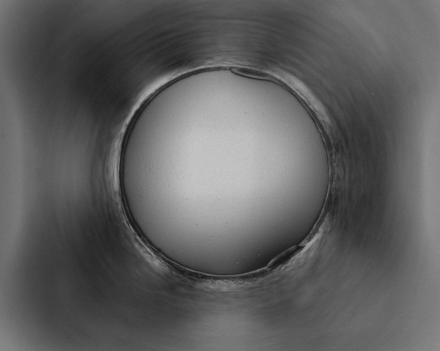 X0000087311246200705112110