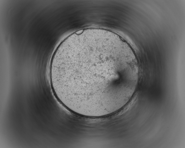 X0000087311247200705112110