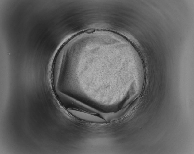 X0000087311248200705112110