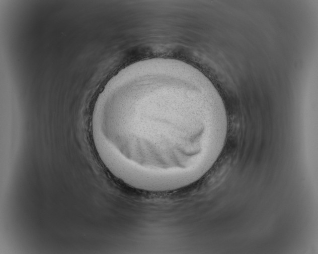 X0000087311249200705112110