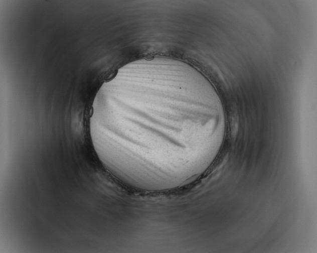 X0000087311250200705112110