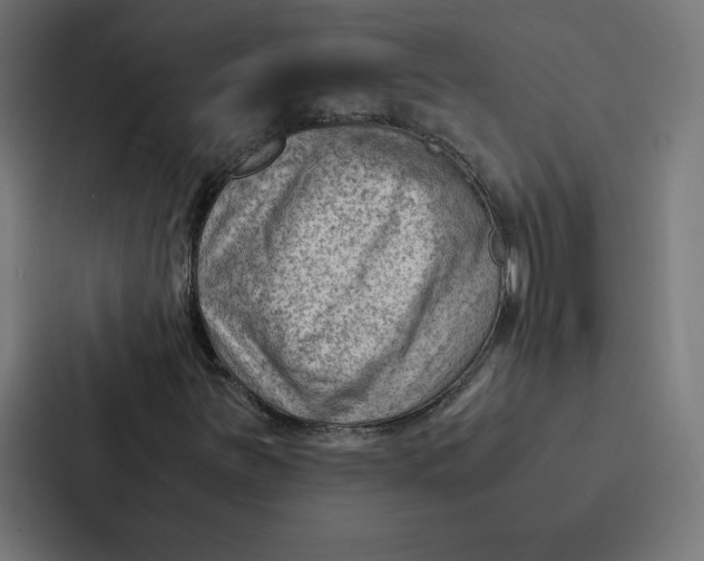 X0000087311251200705112110