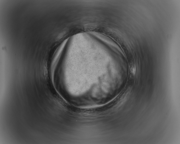 X0000087311252200705112110