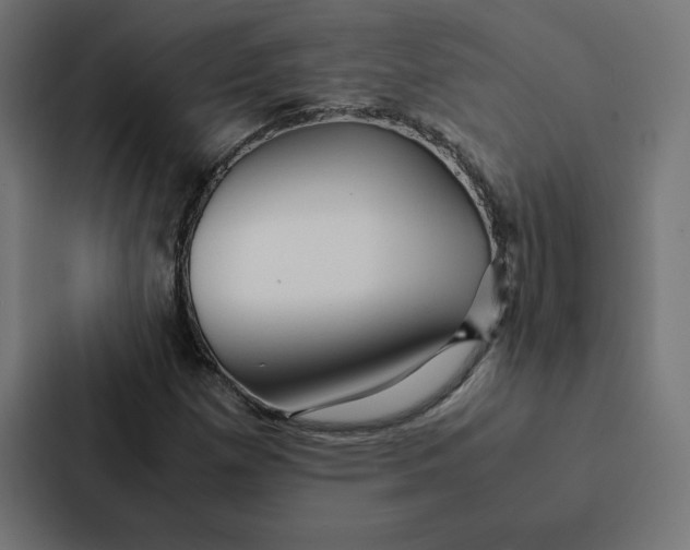 X0000087311257200705112110