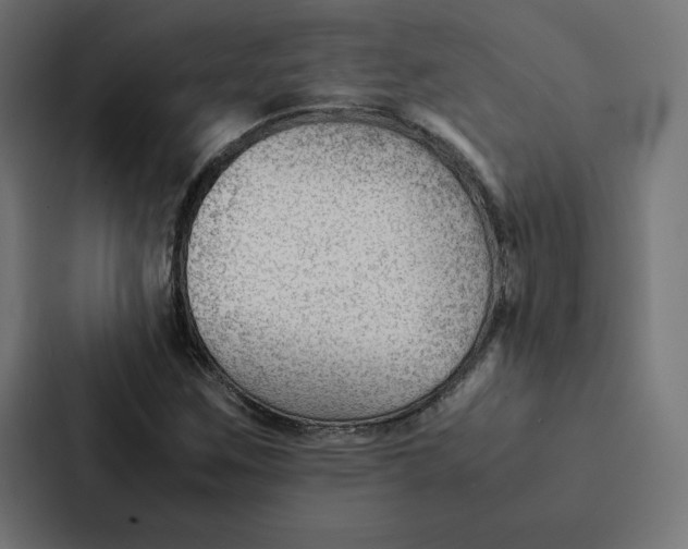 X0000087311259200705112110