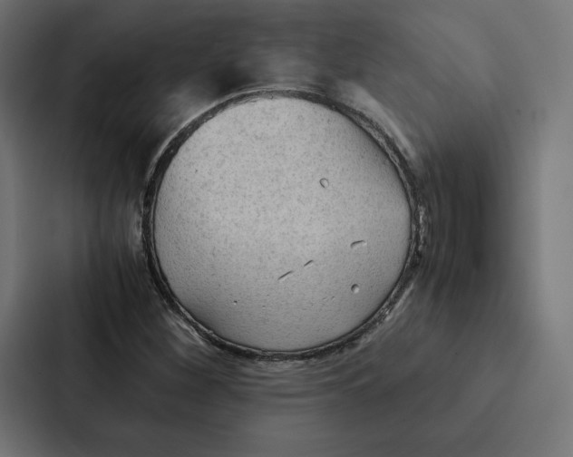 X0000087311260200705112110