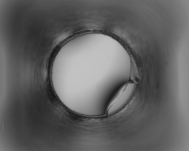 X0000087311261200705112110