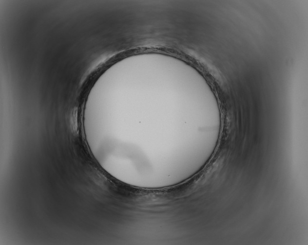 X0000087311262200705112110