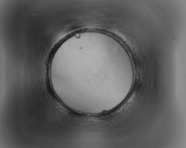 X0000087311263200705112110