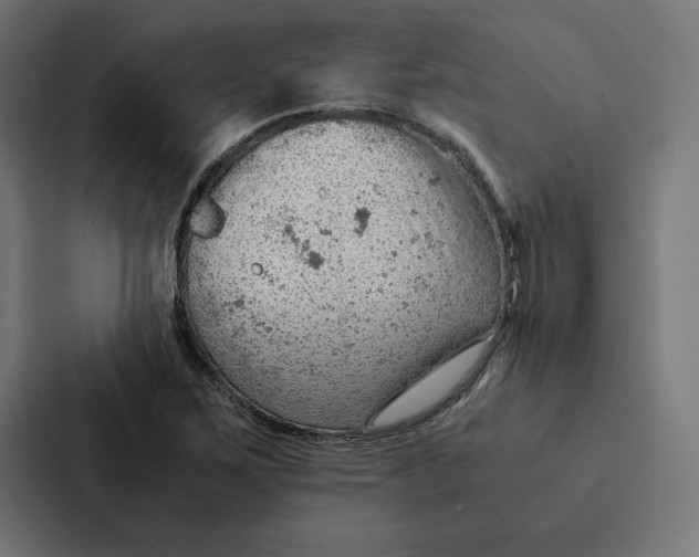 X0000087311267200705112110