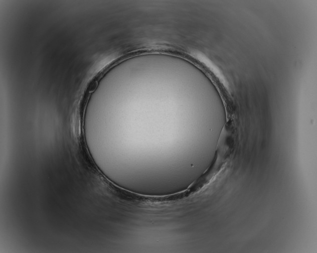 X0000087311269200705112110