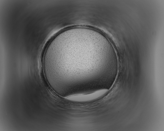 X0000087311271200705112110